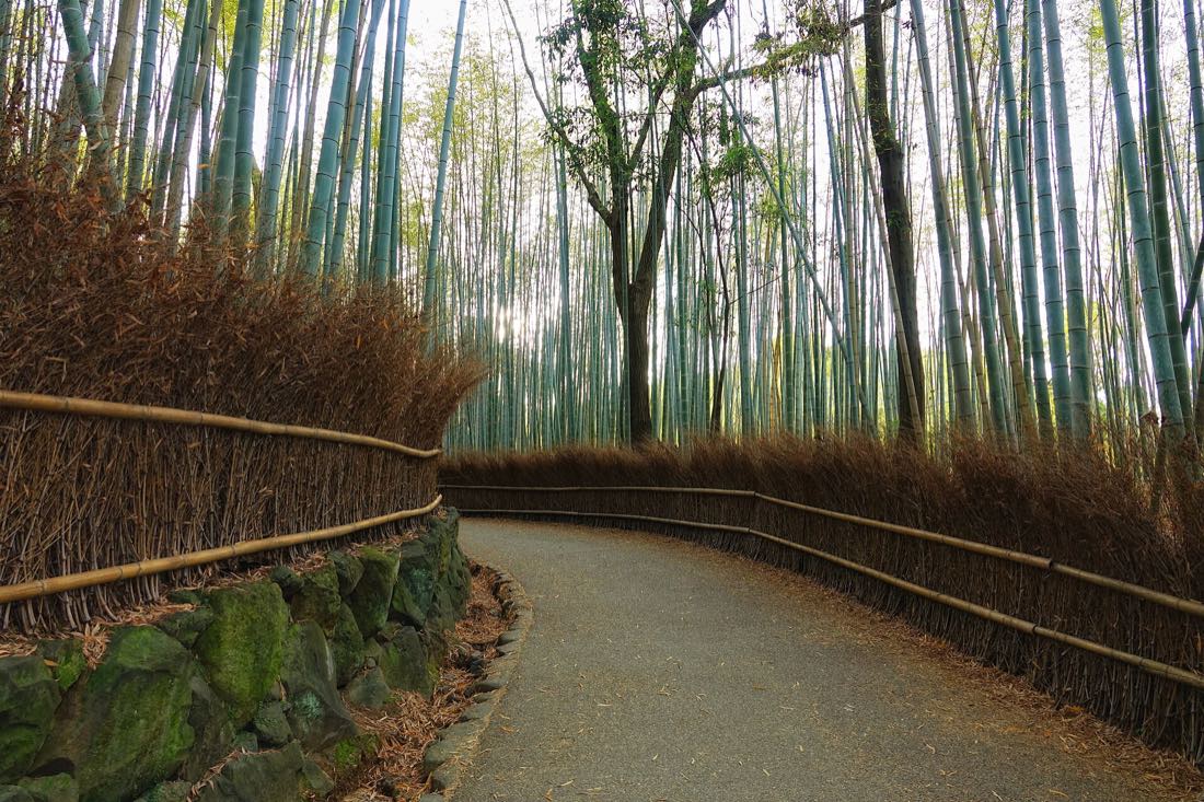 The bamboo path through the Sagano grove at Arashiyama, Kyoto