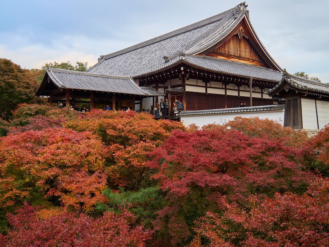 Red maples over the valley at Tofuku-ji temple, Kyoto