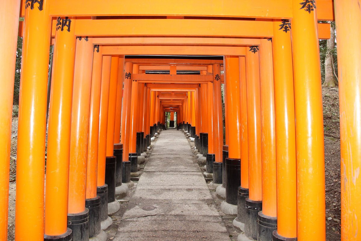 A tunnel of vermillion torii gates at Fushimi Inari, Kyoto